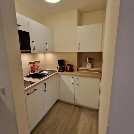Apartament Haus Am Muehlenweg - Modern Und Lichtdurchflutet *